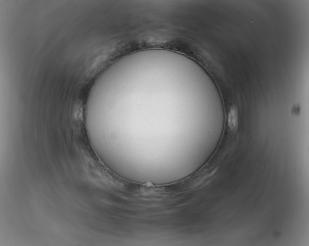 X0000116311299200912211914