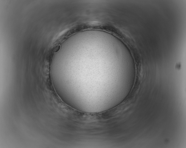 X0000116311301200912211914