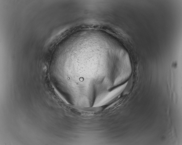 X0000116311302200912211914