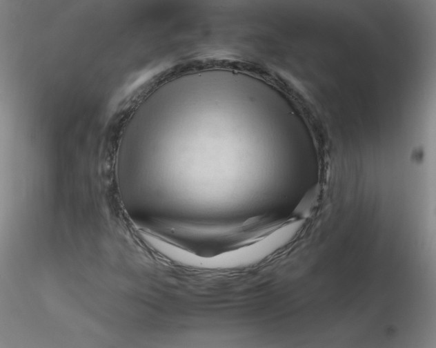 X0000116311303200912211914