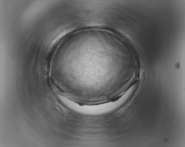 X0000116311306200912211914