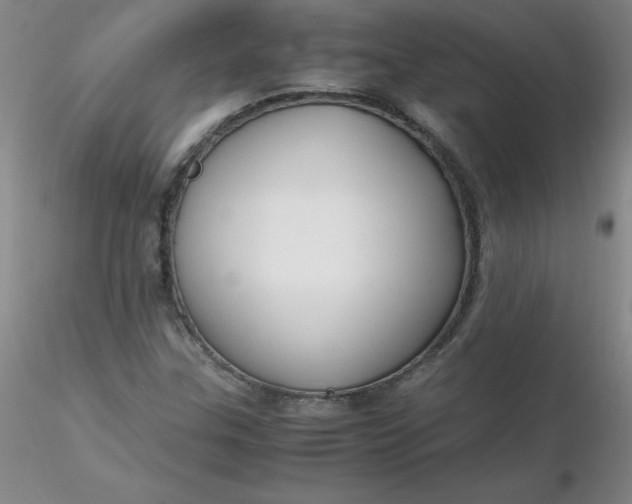 X0000116311307200912211914