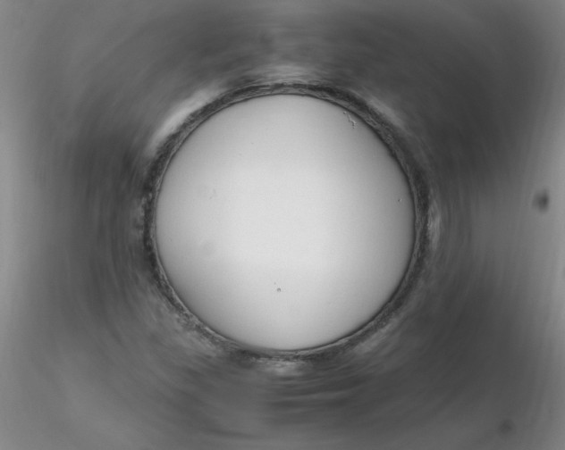 X0000116311309200912211914