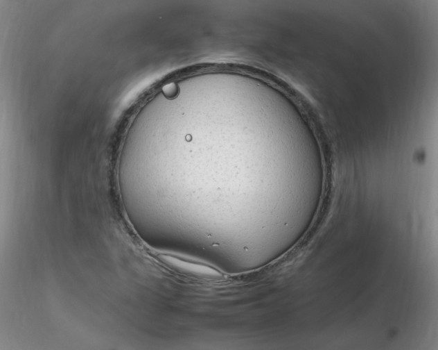 X0000116311311200912211914