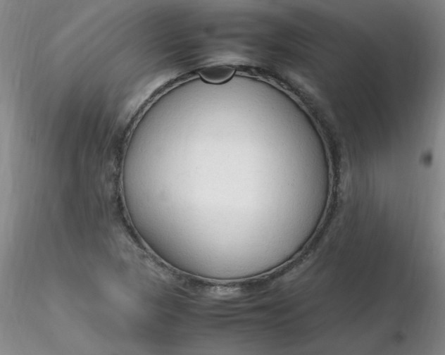 X0000116311313200912211914