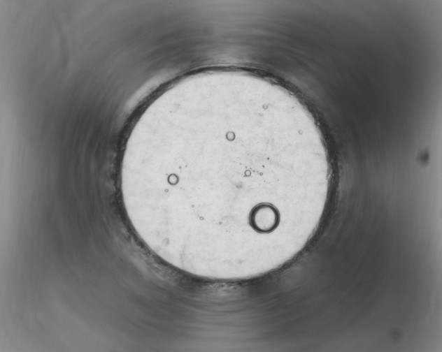 X0000116311314200912211914