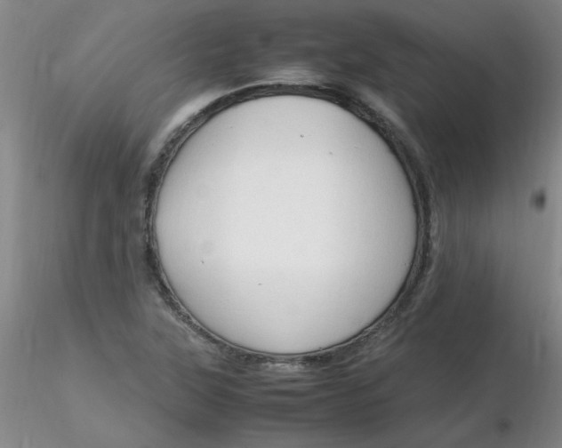 X0000116311315200912211914