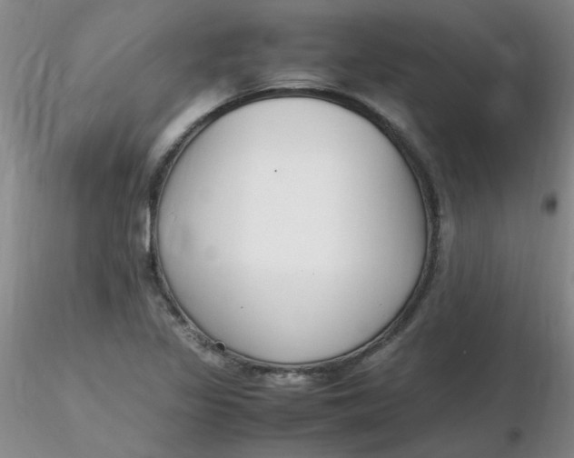 X0000116311317200912211914