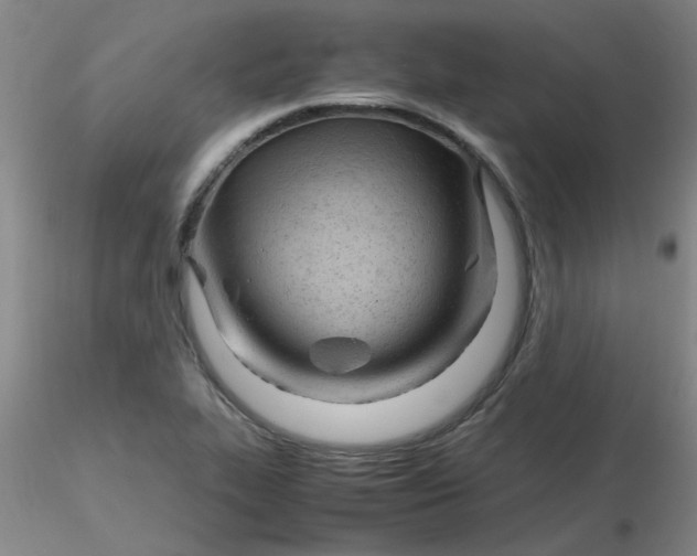 X0000116311319200912211914