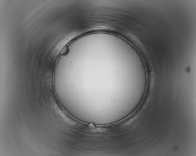 X0000116311321200912211914