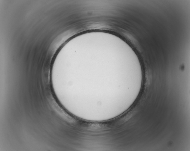 X0000116311322200912211914