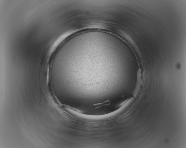 X0000116311323200912211914