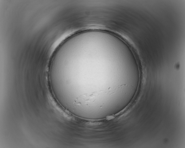 X0000116311325200912211914