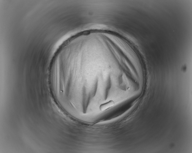 X0000116311326200912211914