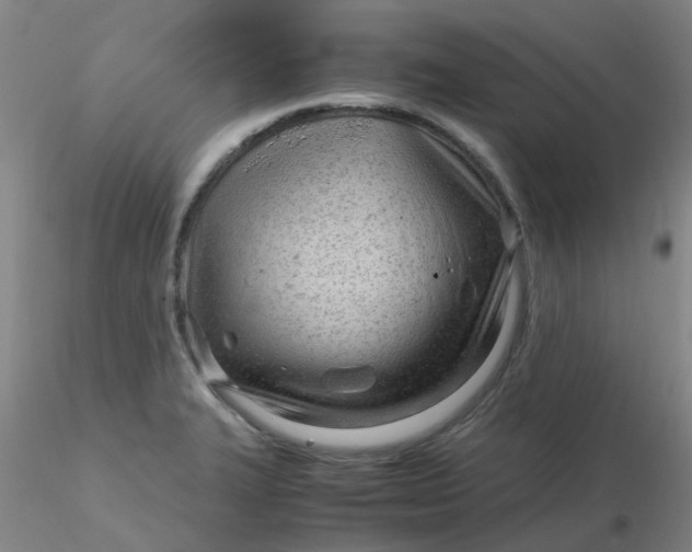 X0000116311327200912211914