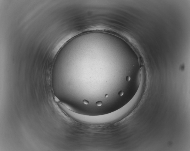 X0000116311329200912211914