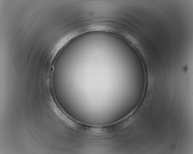 X0000116311330200912211914