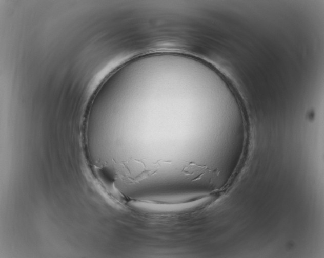 X0000116311333200912211914