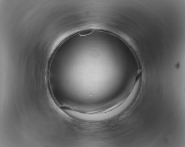 X0000116311334200912211914