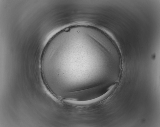 X0000116311335200912211914