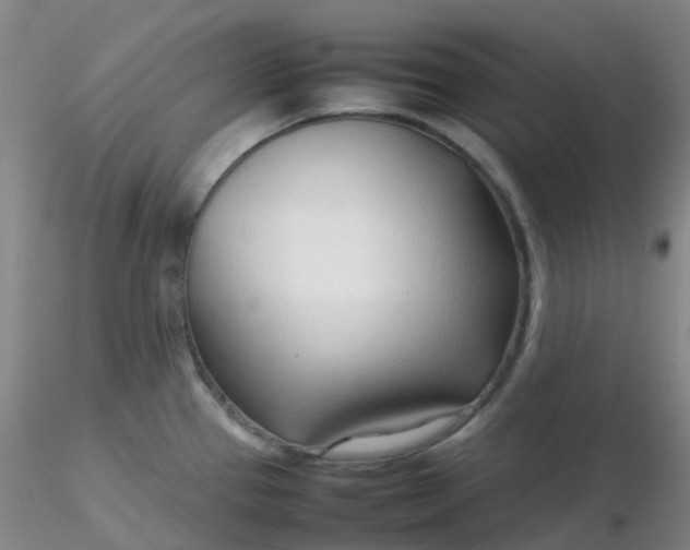 X0000116311337200912211914