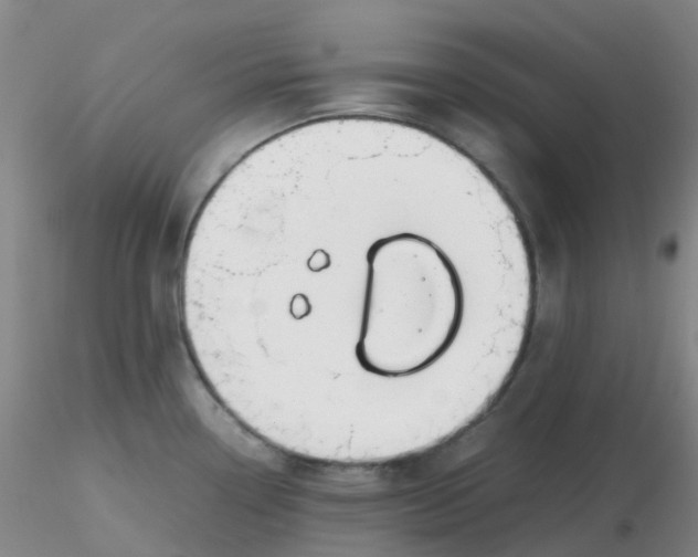 X0000116311338200912211914