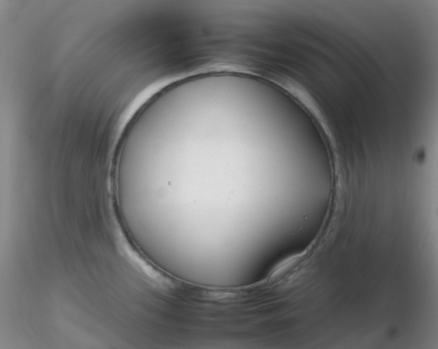 X0000116311339200912211914