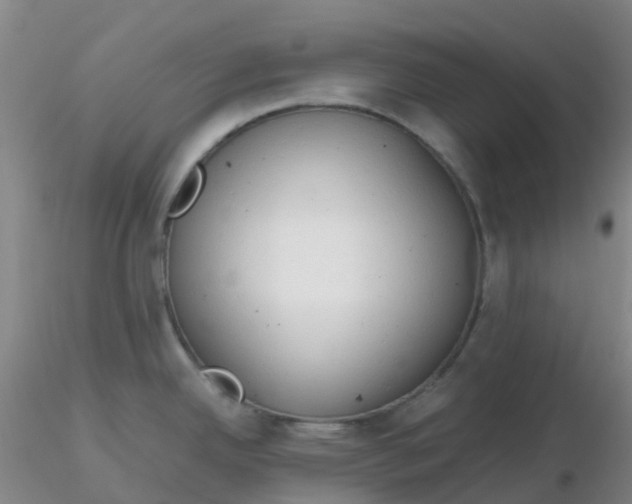 X0000116311342200912211914