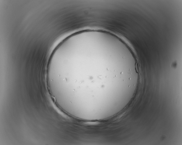 X0000116311343200912211914