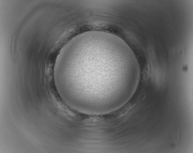 X0000116311346200912211914