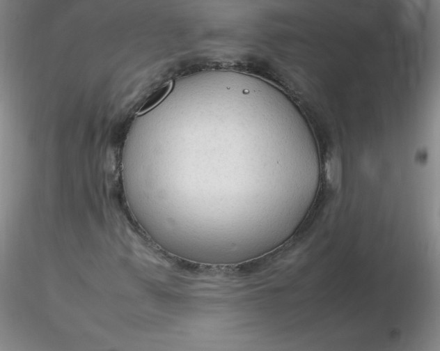 X0000116311347200912211914