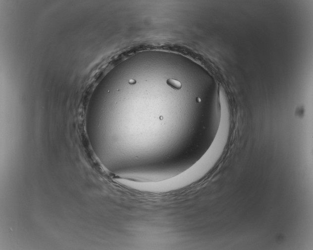 X0000116311349200912211914