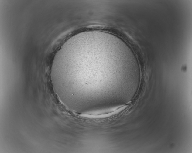 X0000116311351200912211914