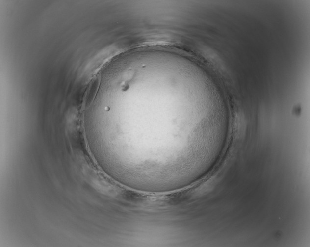 X0000116311353200912211914