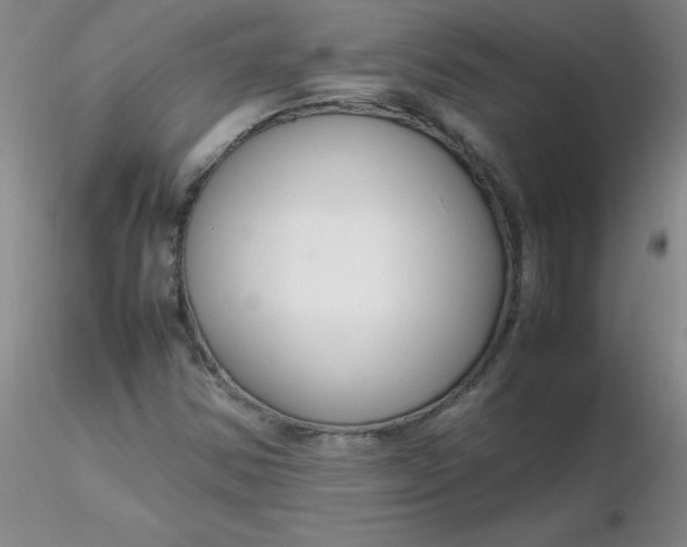 X0000116311354200912211914