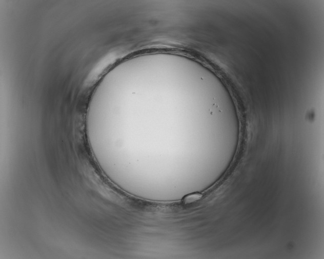 X0000116311355200912211914