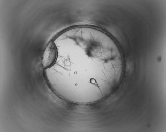 X0000116311356200912211914