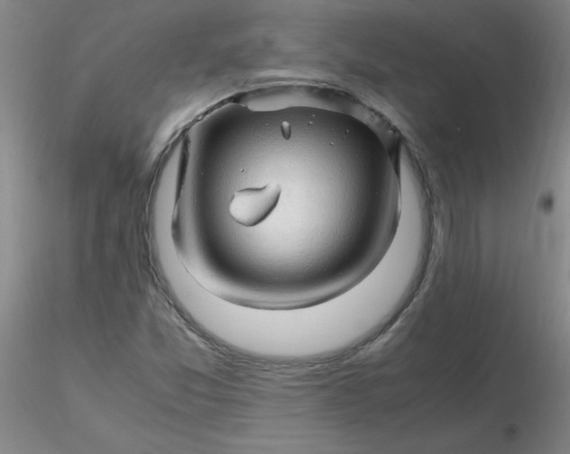 X0000116311357200912211914