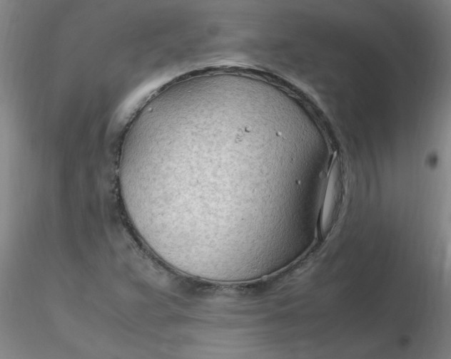 X0000116311359200912211914