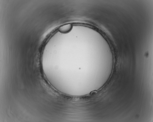 X0000116311360200912211913