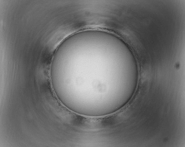 X0000116311361200912211913