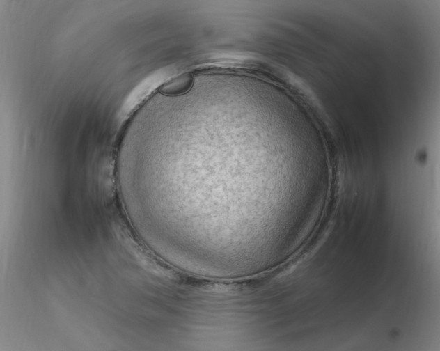 X0000116311362200912211913