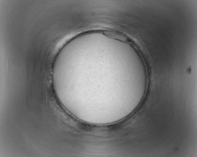 X0000116311363200912211913