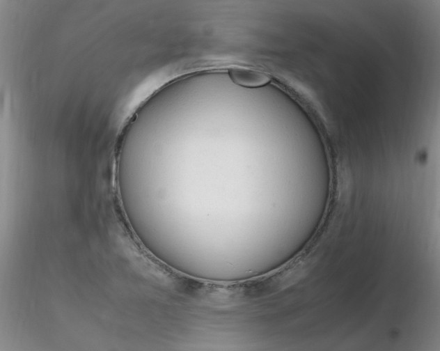 X0000116311365200912211913