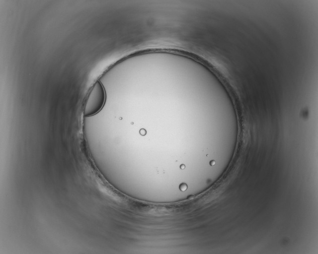 X0000116311366200912211913