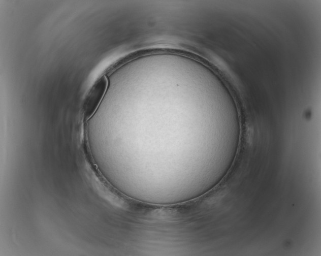 X0000116311368200912211913