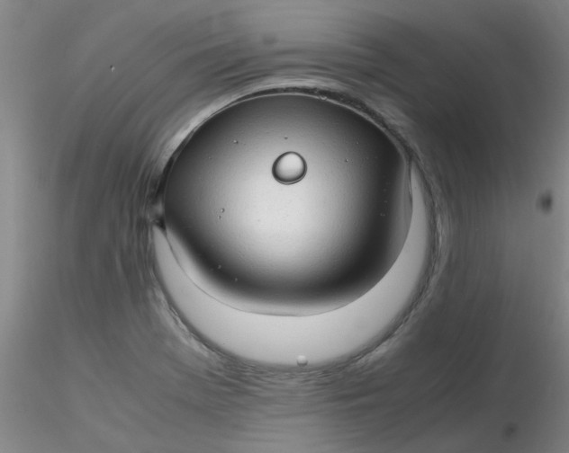 X0000116311369200912211913