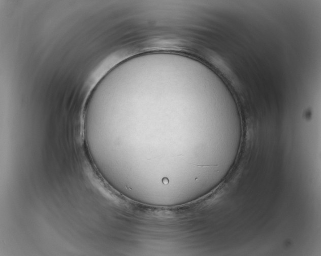 X0000116311370200912211913