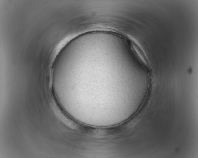 X0000116311371200912211913