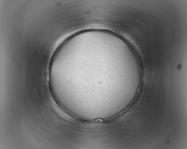 X0000116311372200912211913